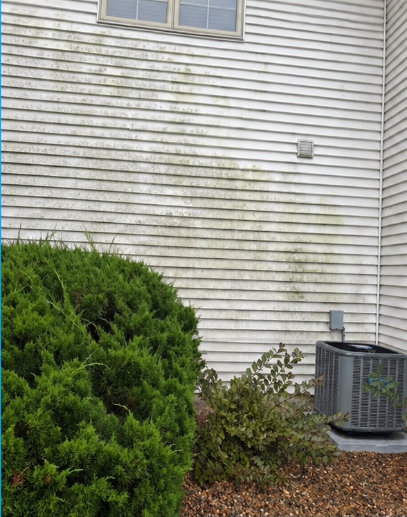 Siding cleaning — before cleaning or restoration