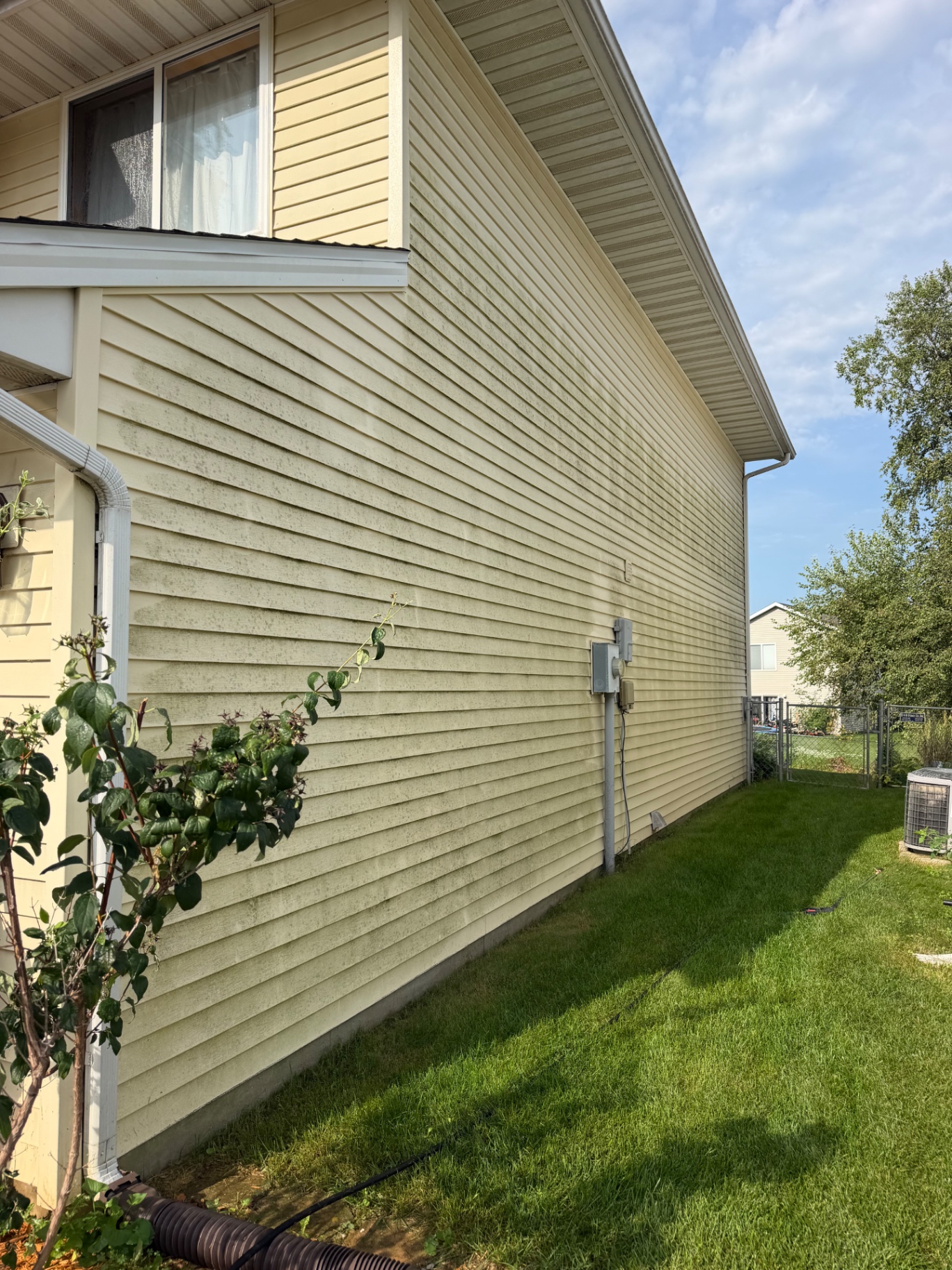 House soft washing — before cleaning or restoration