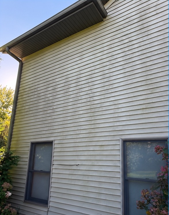 House soft washing — before cleaning or restoration