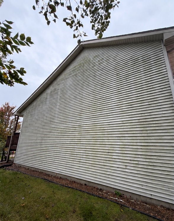 House soft washing — before cleaning or restoration