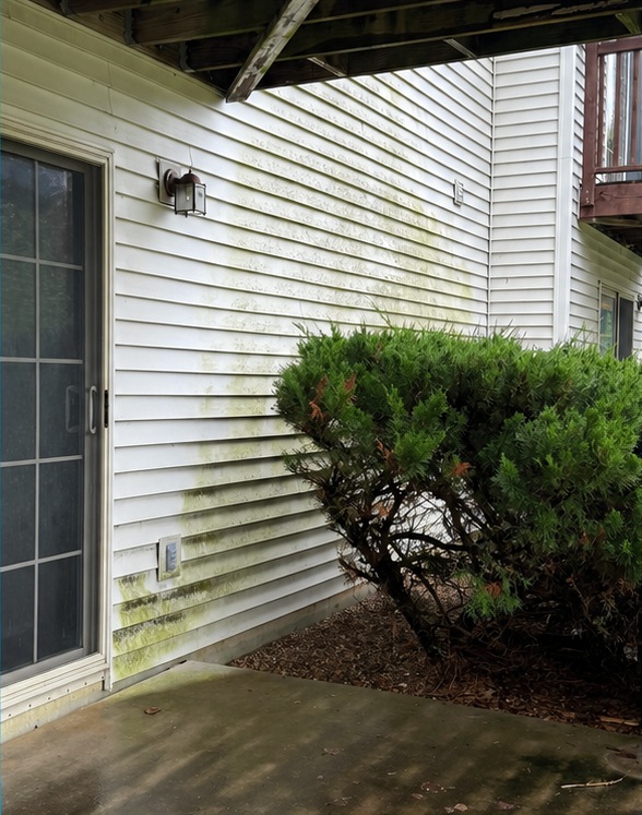 House & patio cleaning — before cleaning or restoration